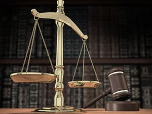 Técnicos de Nível Médio Não Podem Ser Conselheiros
