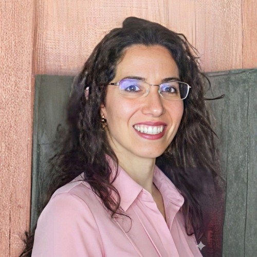 Anna Luiza Marques Ayres da Silva